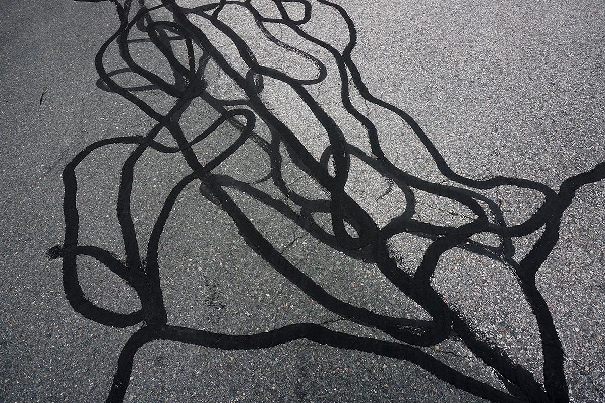 Read more about the article Should Your Seal Cracks in your Asphalt?