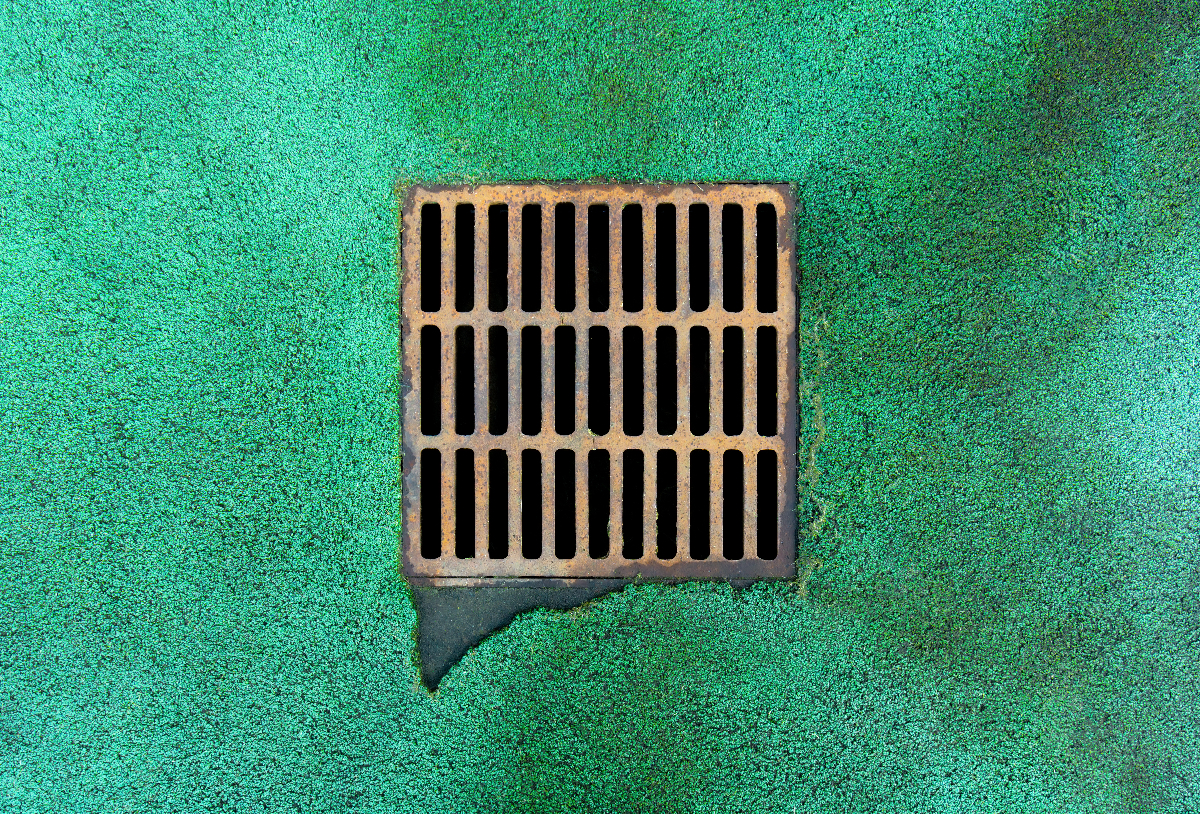 Read more about the article How to know if you need to repair your catch basin